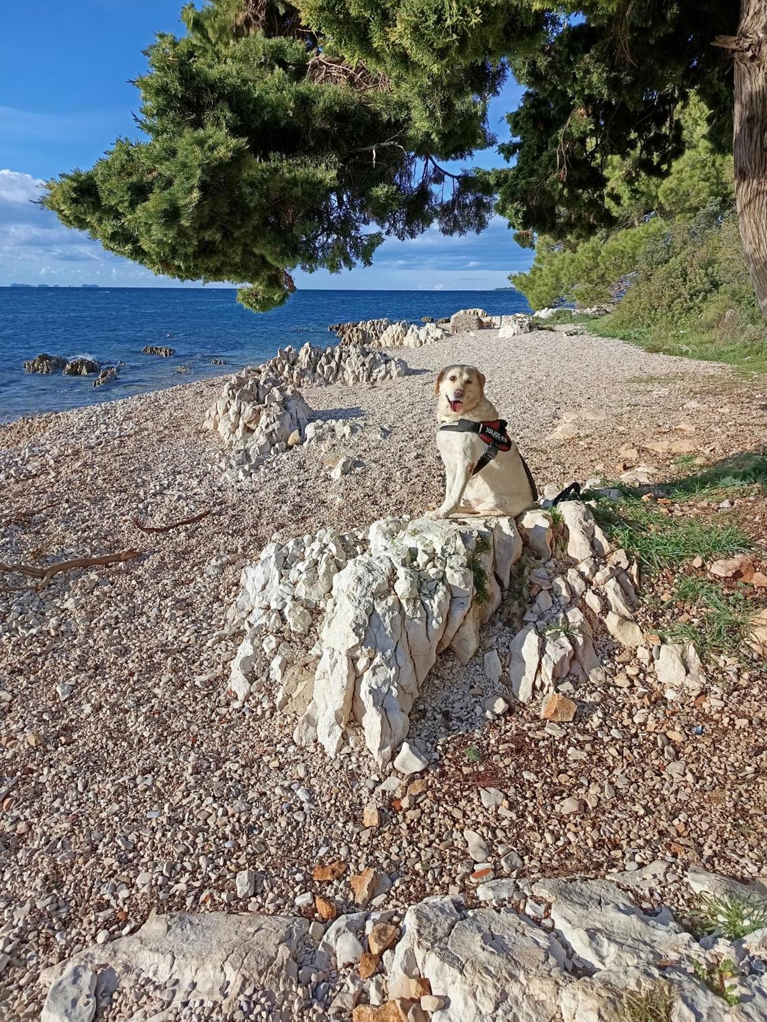Ap Orion Zadar Exterior foto